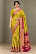 Chartreuse Checked Saree with Wine Brocade Border – styled model photo
