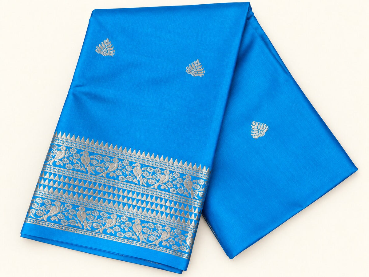 Azure Blue Saree with Silver Zari Parrot Border – full view