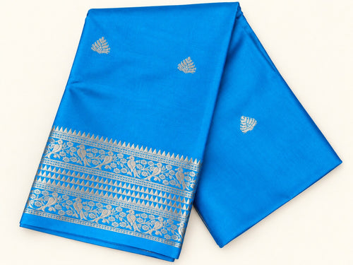 Azure Blue Saree with Silver Zari Parrot Border – full view